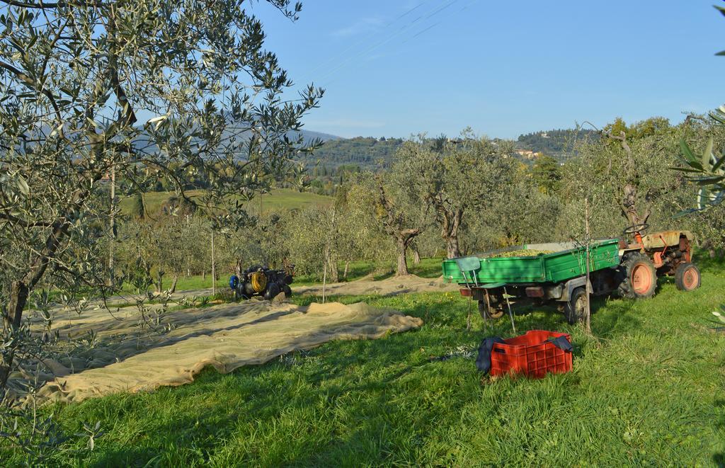 Armonie Di Villa Incontri B&B Florence Ngoại thất bức ảnh
