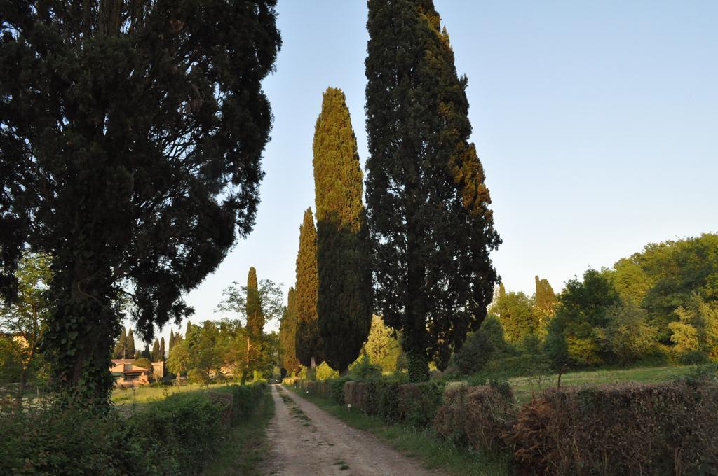 Armonie Di Villa Incontri B&B Florence Ngoại thất bức ảnh